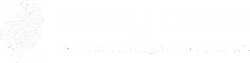 Easy Data - Bussiness Intelligence & Analytics